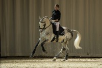 /album/equinos-academia-de-barcelona/avignon-20140119-0096-jpg/