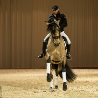 /album/equinos-academia-de-barcelona/dsc0504-jpg/